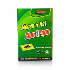 Rat Glue Trap