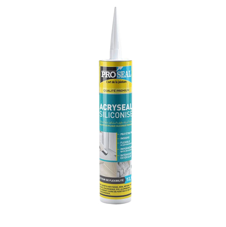 Silicone Acrylique PROSEAL