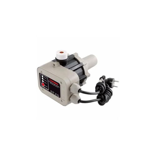 Crown Pump Brain