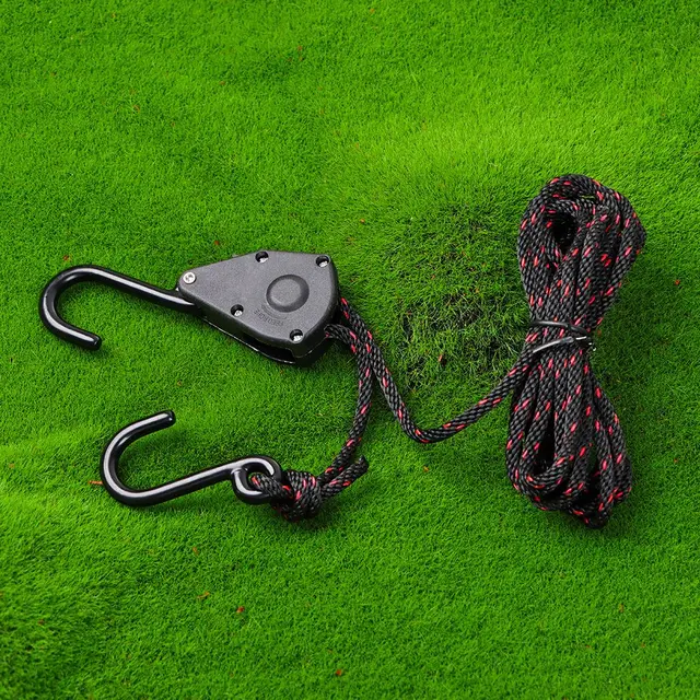 Umbilical Cord