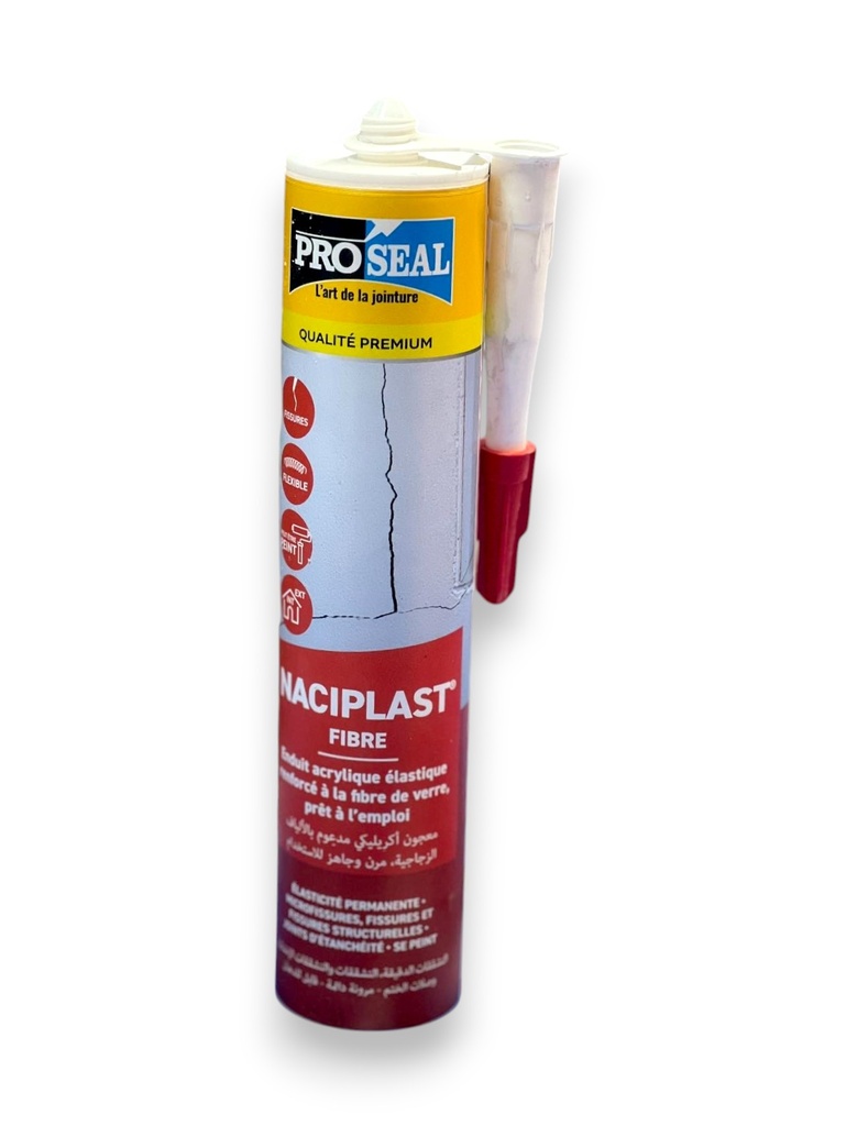 Silicone Des Fissure Naciplaste Proseal