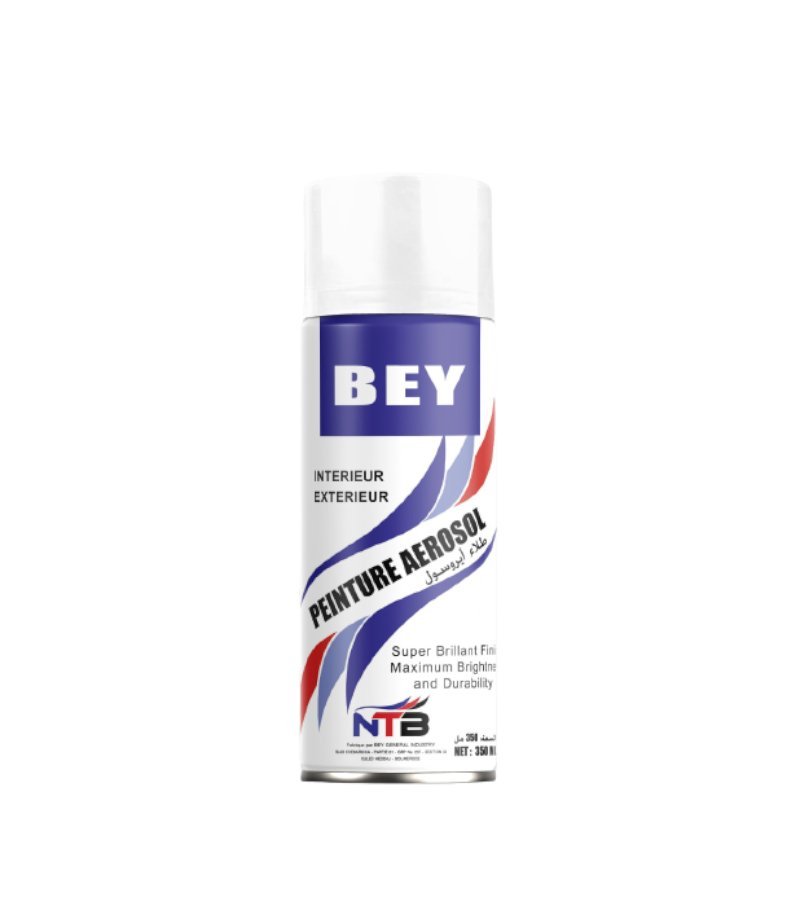 Peinture Blanc BEY