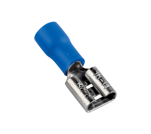 Fiche Auto Plastifé Bleu