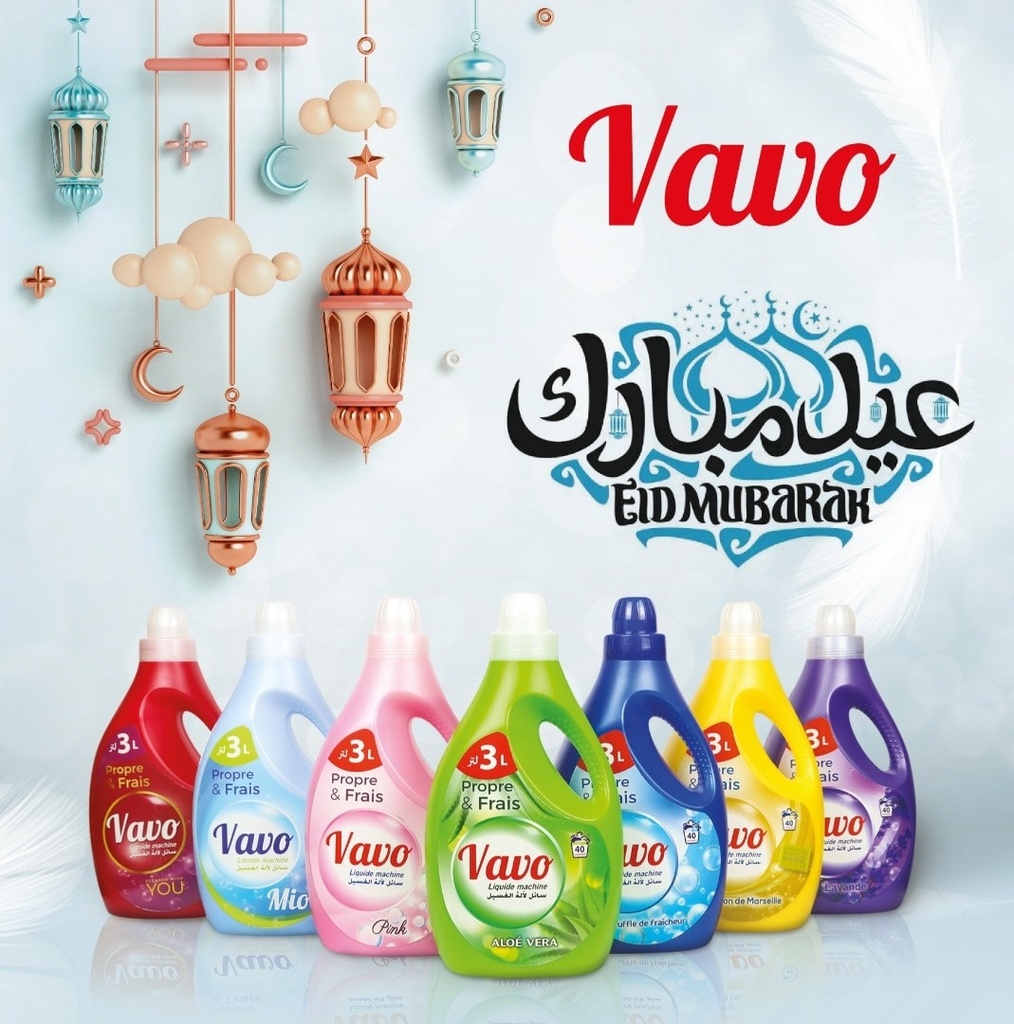 Liquide Machine à Laver (3L) VAVO