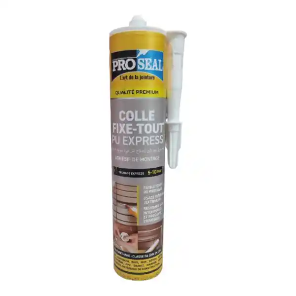 Mastic Colle FIX TOUT EXPRESS