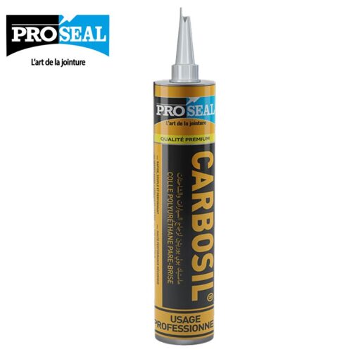 Silicone Parbrise PROSEAL (12)