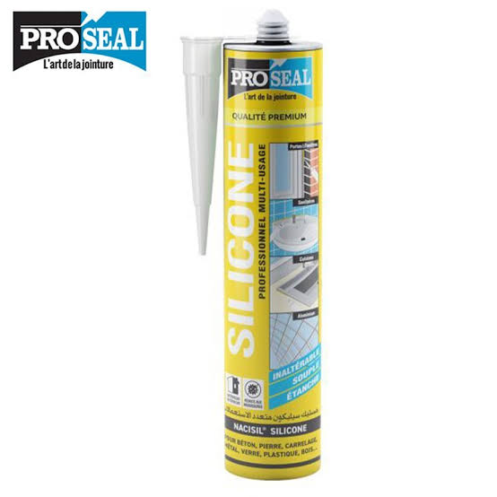 Silicone Sealant PROSEAL (25)