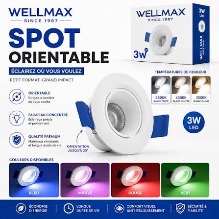 Spot Led Orientable WELLMAX