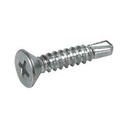 Vis Autoperceuse 5.5*60mm /P