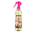 Desodorisant Pozzy
